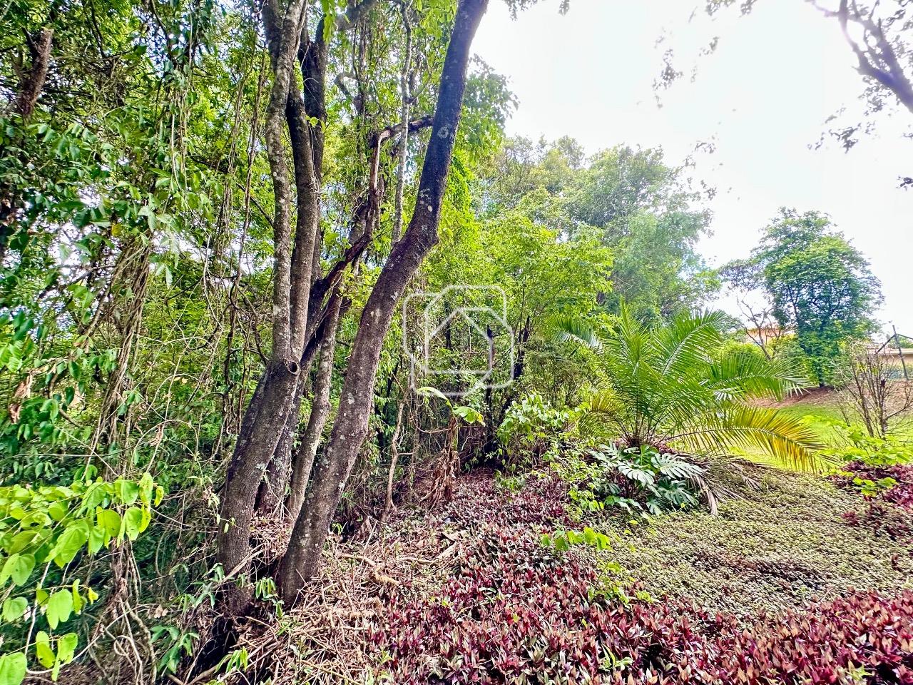 Terreno à venda em Itu - SP - Fazenda Vila Real de Itu: 