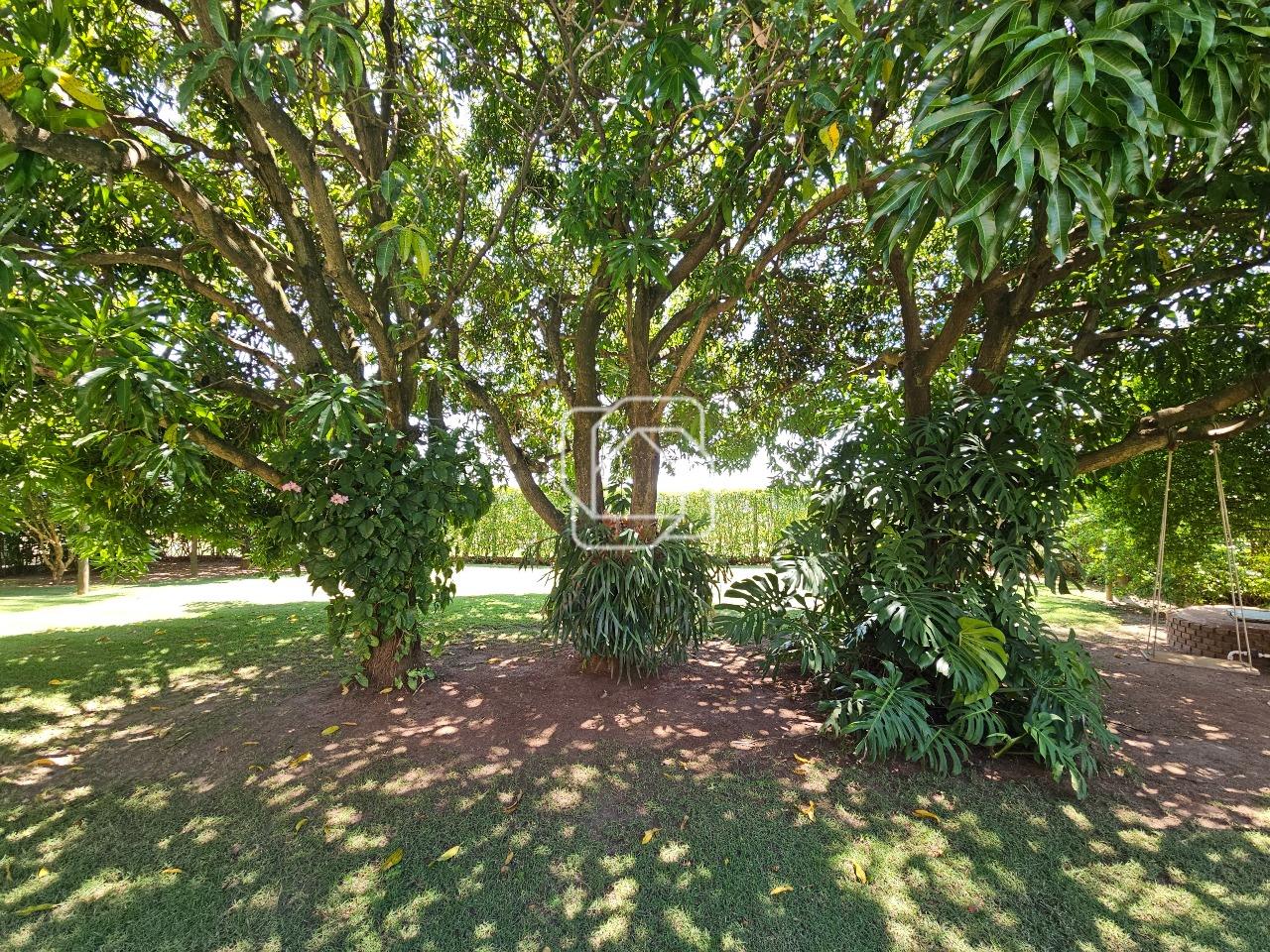 Casa de Condomínio à venda em Indaiatuba - SP - Terras de Itaici: Área externa