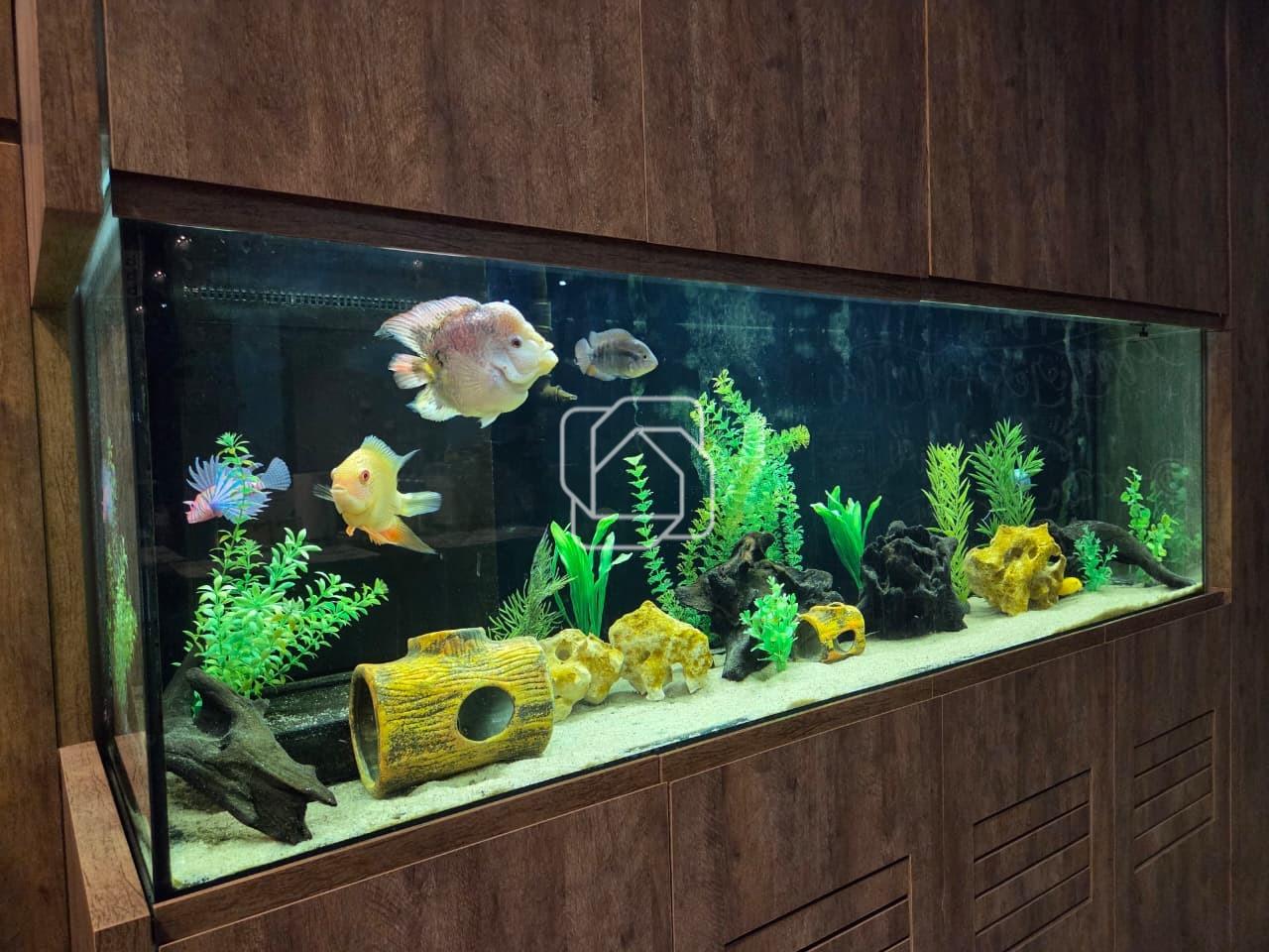 Casa de Condomínio à venda em Indaiatuba - SP - Jardim Residencial Dona Lucilla: Aquário 