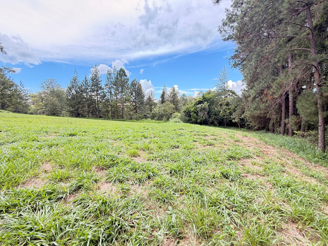 Terreno à venda em Itu - SP - Condomínio Terras de São José II: 