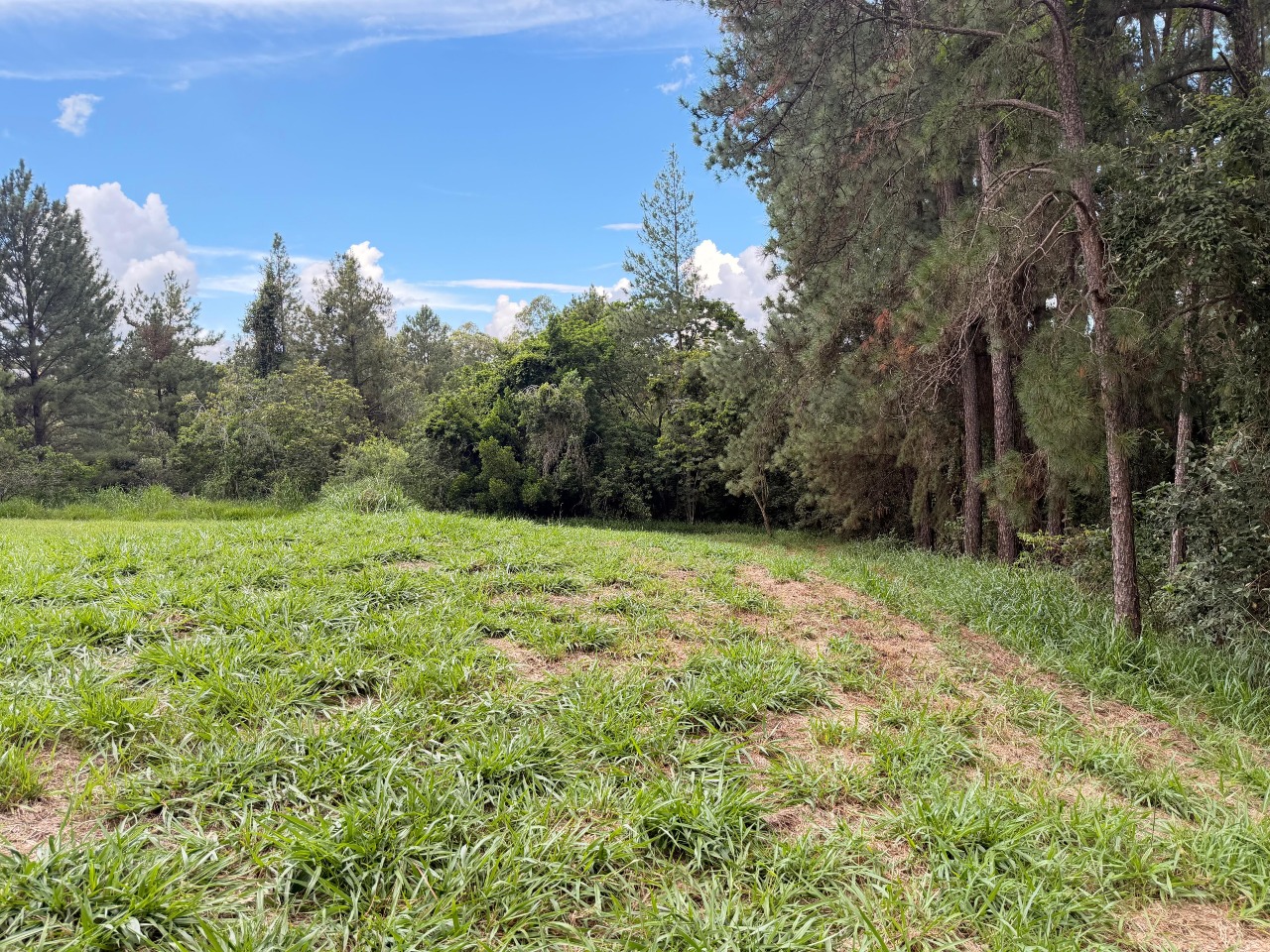 Terreno à venda em Itu - SP - Condomínio Terras de São José II: 