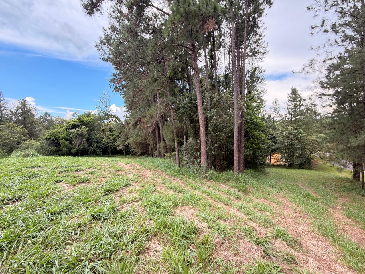 Terreno à venda em Itu - SP - Condomínio Terras de São José II: 
