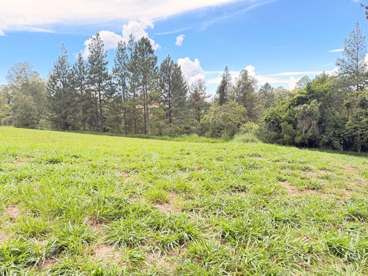 Terreno à venda em Itu - SP - Condomínio Terras de São José II: 