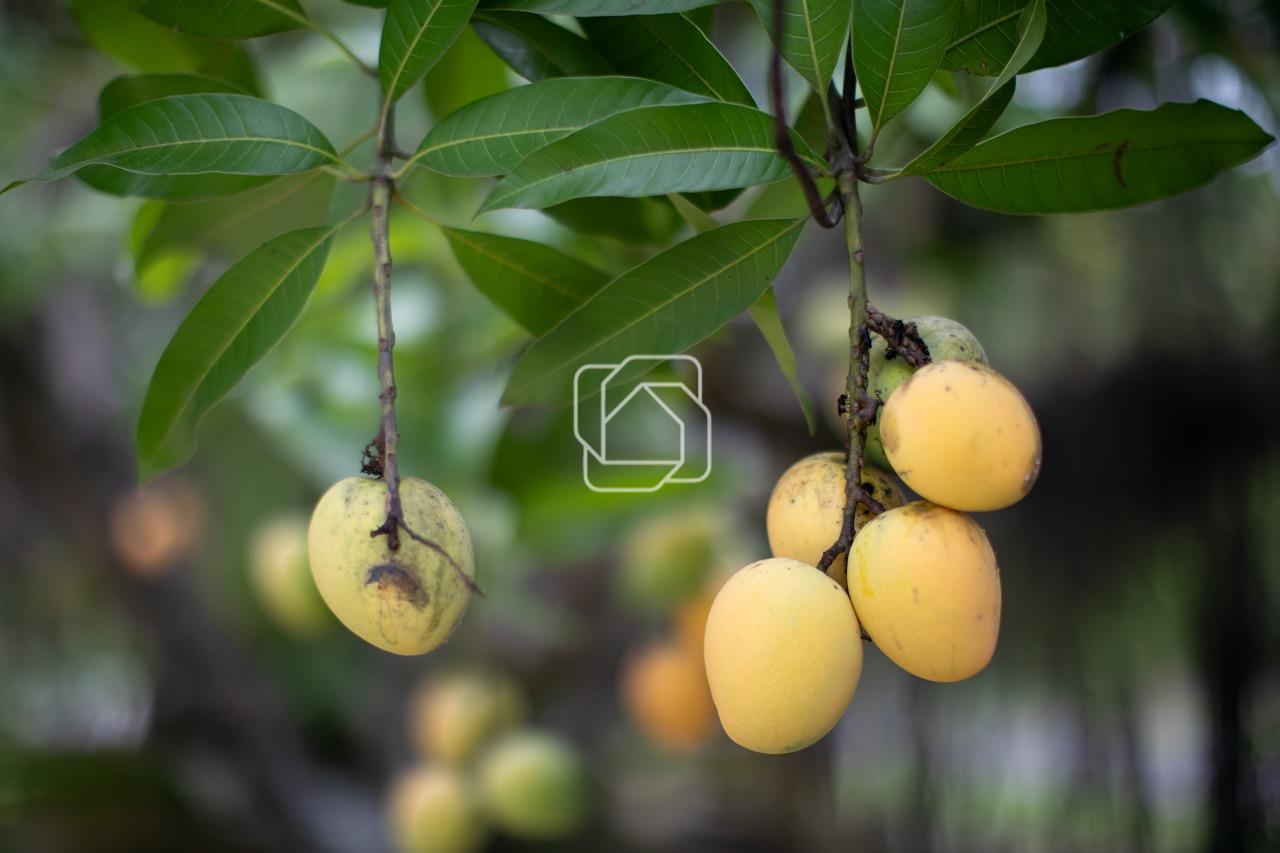 Casa de Condomínio à venda em Itu - SP - Condomínio City Castelo: