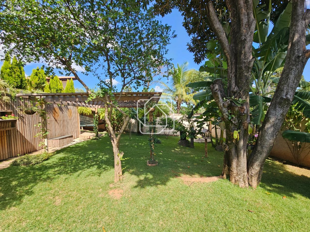 Casa de Condomínio para aluguel em Indaiatuba - SP - Terras de Itaici: Pomar