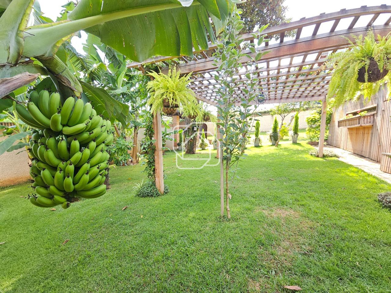 Casa de Condomínio para aluguel em Indaiatuba - SP - Terras de Itaici: Pomar