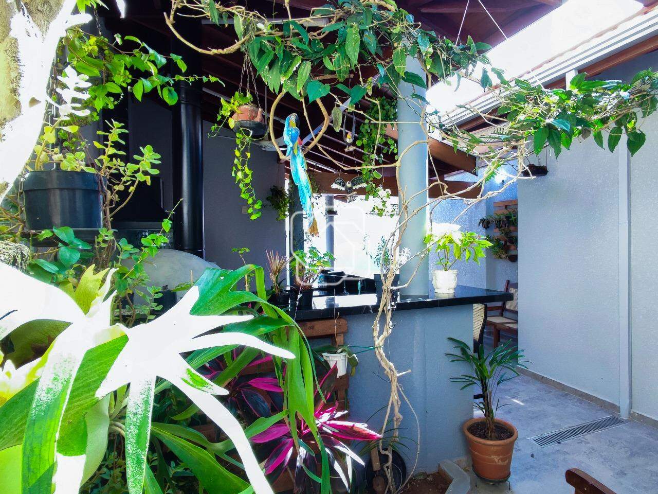 Casa de Condomínio para aluguel em Indaiatuba - SP - Jardim Residencial Santa Clara: Área gourmet