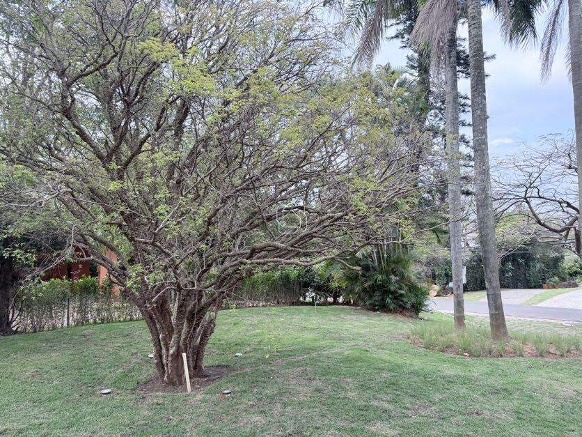 Casa de Condomínio à venda em Itu - SP - Condomínio Terras de São José: Fotos da Obra