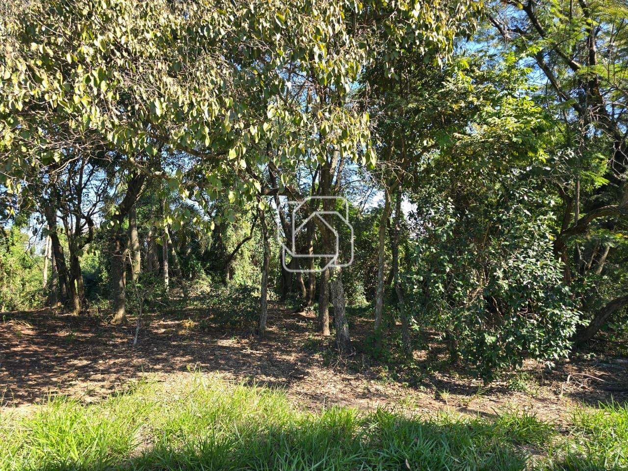 Terreno à venda em Itu - SP - Condomínio Terras de São José II: Fundo do terreno - Área de mata preservada.