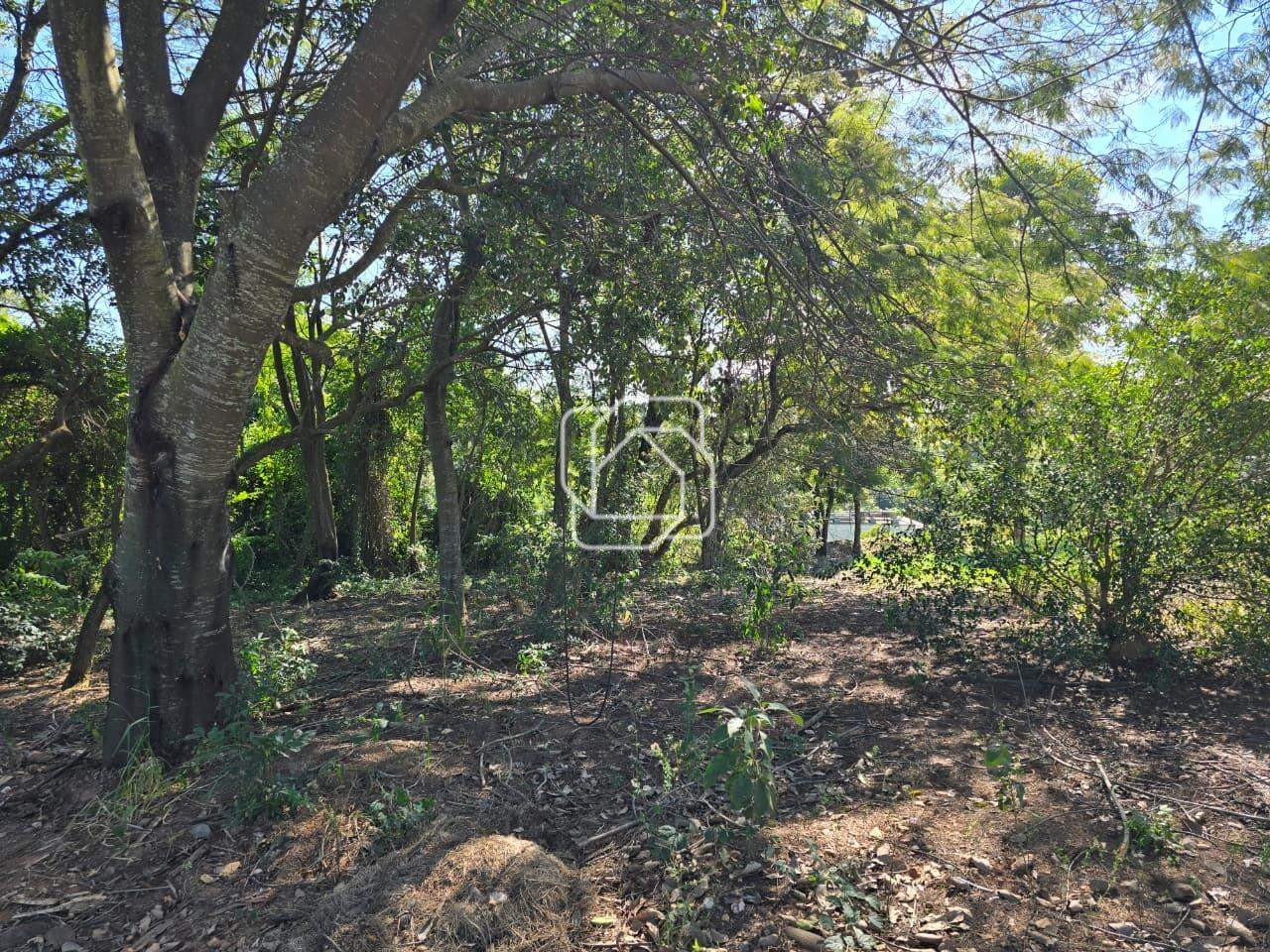 Terreno à venda em Itu - SP - Condomínio Terras de São José II: Fundo do terreno - Área de mata preservada.