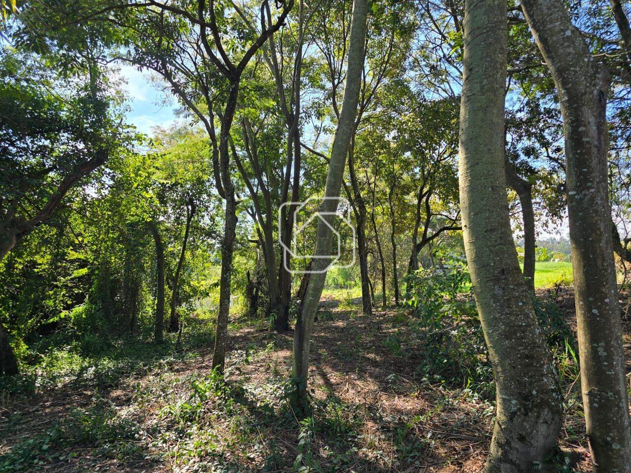 Terreno à venda em Itu - SP - Condomínio Terras de São José II: Fundo do terreno - Área de mata preservada.