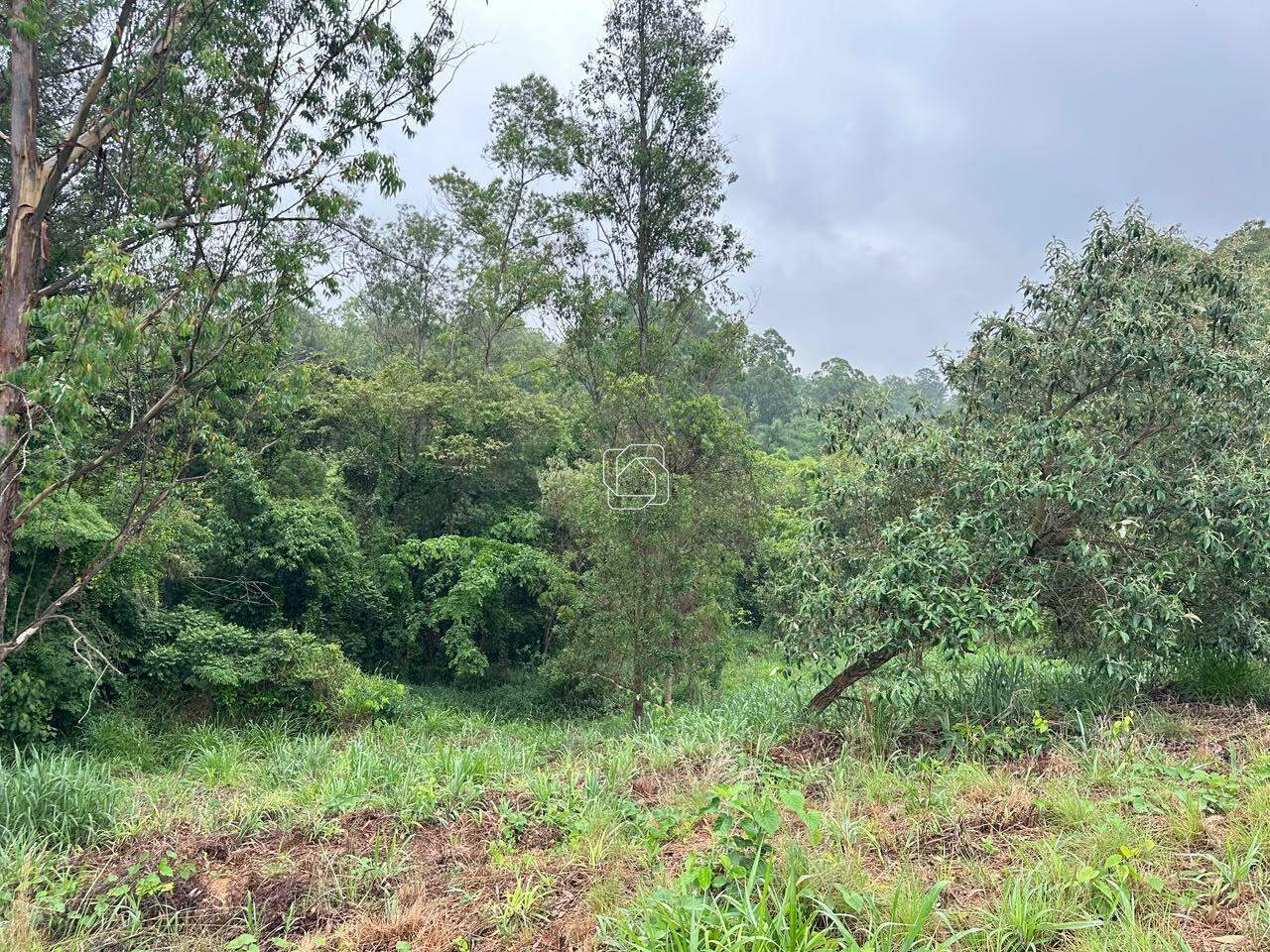 Terreno à venda em Itu - SP - Condomínio Terras de São José II: Visão geral do terreno