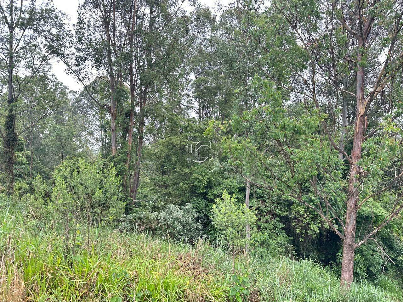 Terreno à venda em Itu - SP - Condomínio Terras de São José II: Visão geral do terreno