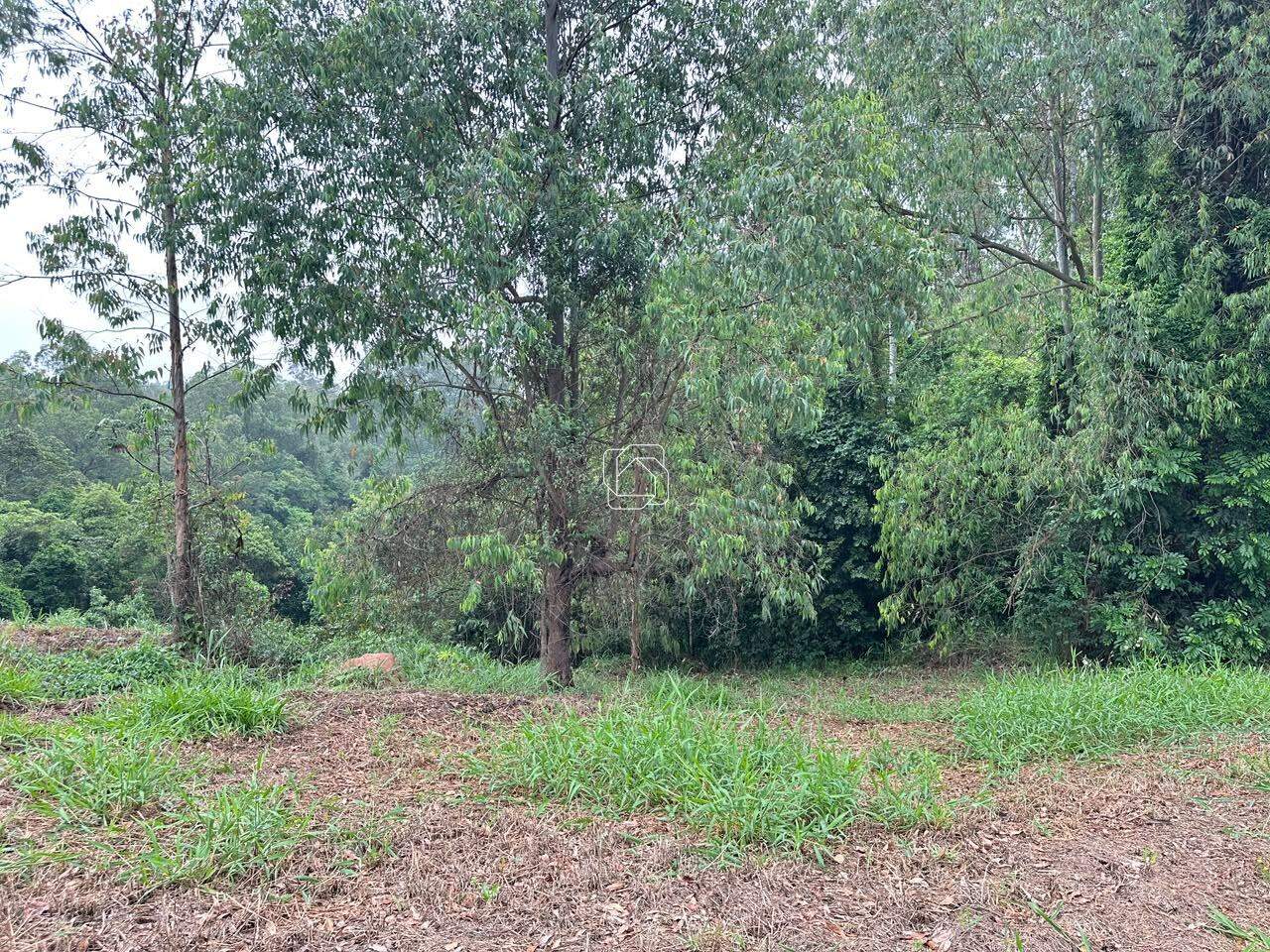Terreno à venda em Itu - SP - Condomínio Terras de São José II: Visão geral do terreno
