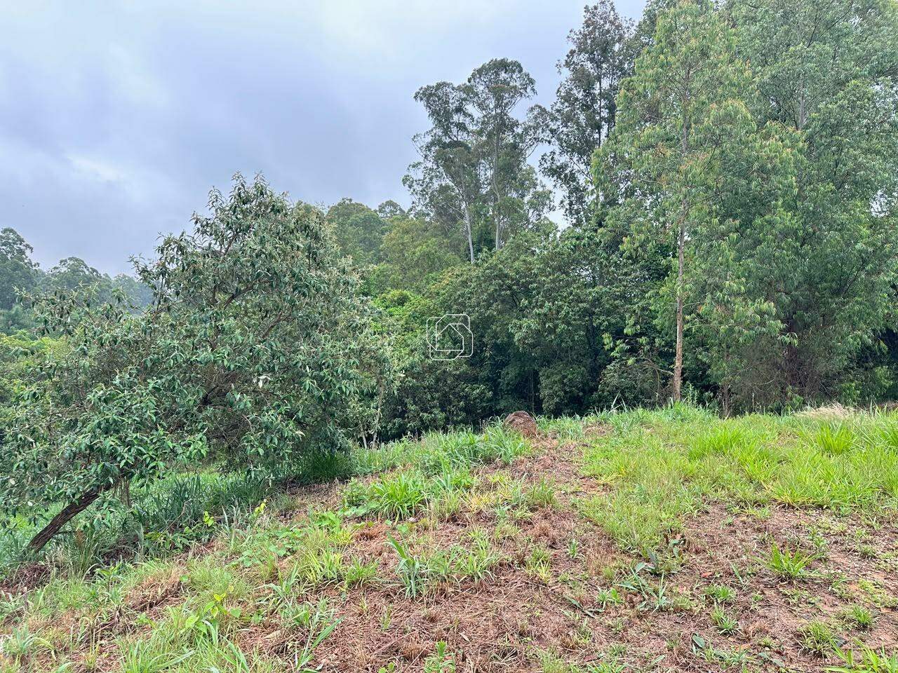 Terreno à venda em Itu - SP - Condomínio Terras de São José II: Visão geral do terreno