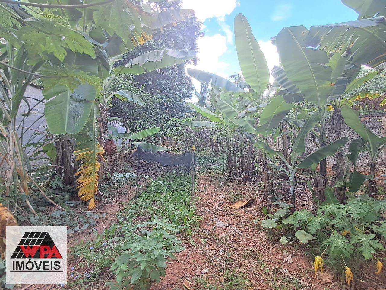 Casa à venda no Vila Mathiesen: 