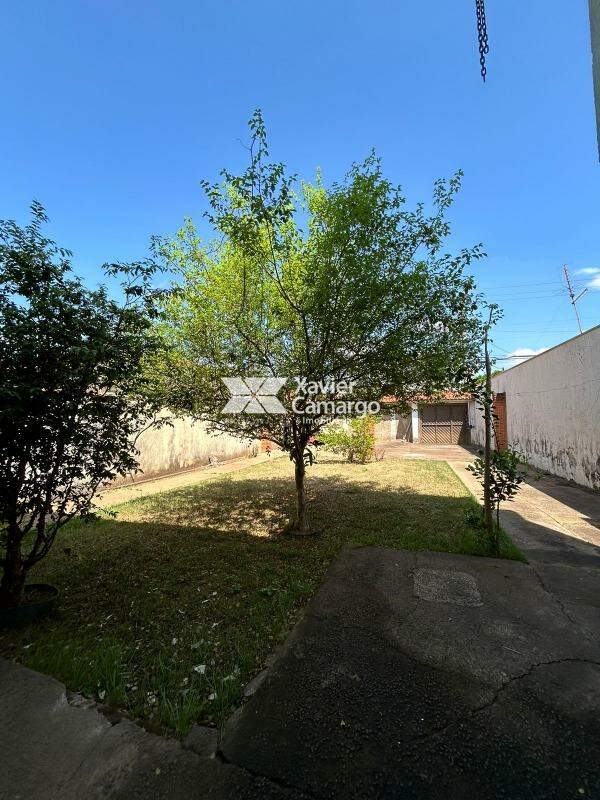 Casa à venda no Estádio: Quintal