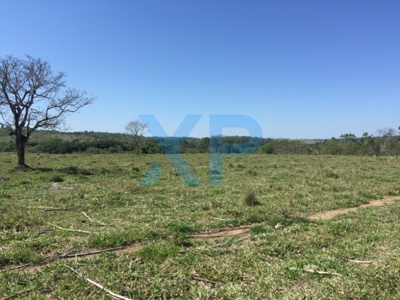 Fazenda à venda no Municipio de Itapecerica: Foto 01