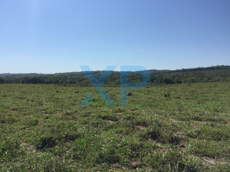 Fazenda à venda no Municipio de Itapecerica: Foto 02