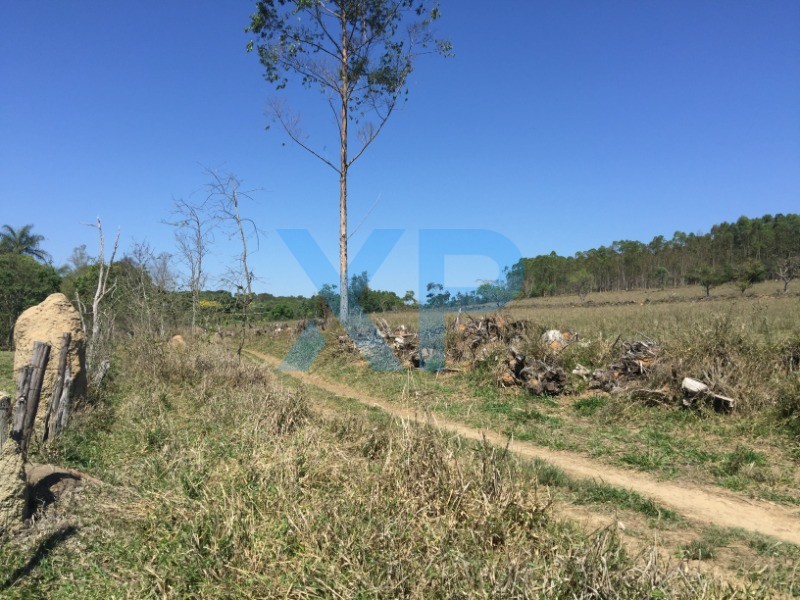 Fazenda à venda no Municipio de Itapecerica: Foto 05