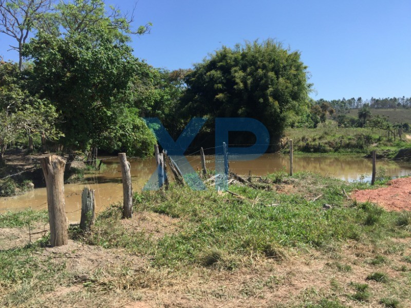 Fazenda à venda no Municipio de Itapecerica: Foto 17
