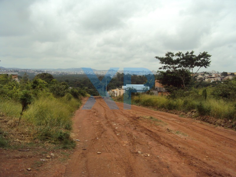 Lote à venda no MARIA PECANHA: Foto 01