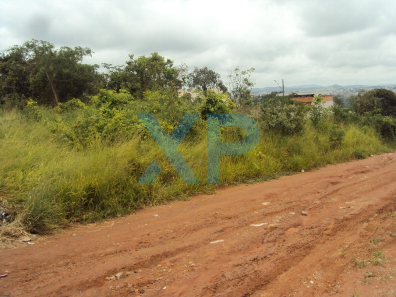 Lote à venda no MARIA PECANHA: Foto 02