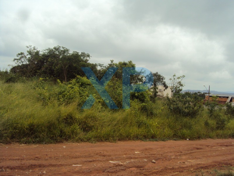 Lote à venda no MARIA PECANHA: Foto 04