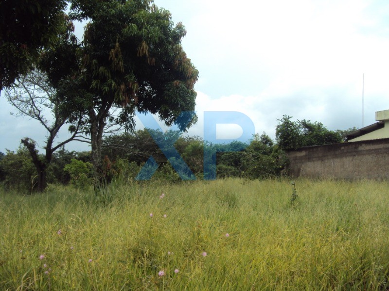 Lote à venda no MARIA PECANHA: Foto 05