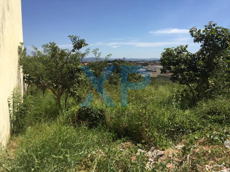 Lote à venda no PADRE EUSTAQUIO: Foto 03