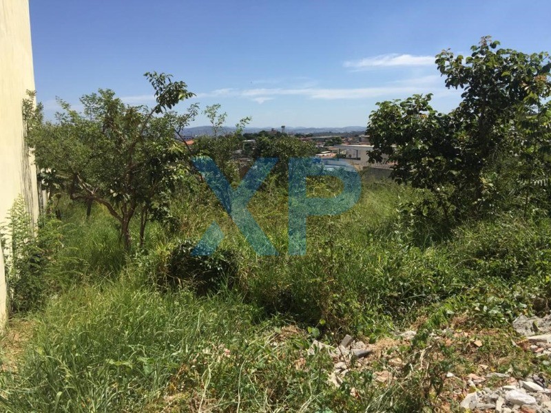 Lote à venda no PADRE EUSTAQUIO: Foto 04