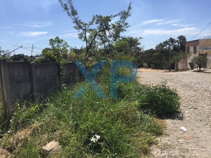 Lote à venda no PADRE EUSTAQUIO: Foto 05