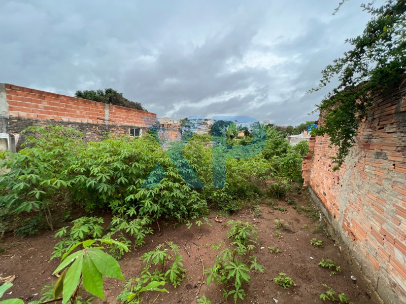 Lote à venda no DONA ROSA: Foto 05