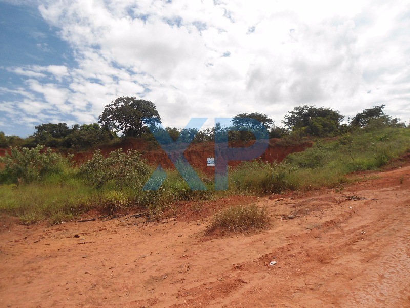 Lote à venda no FLORESTA: Foto 02