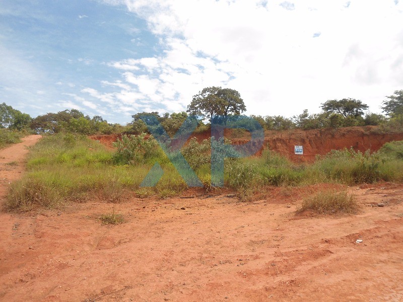 Lote à venda no FLORESTA: Foto 03