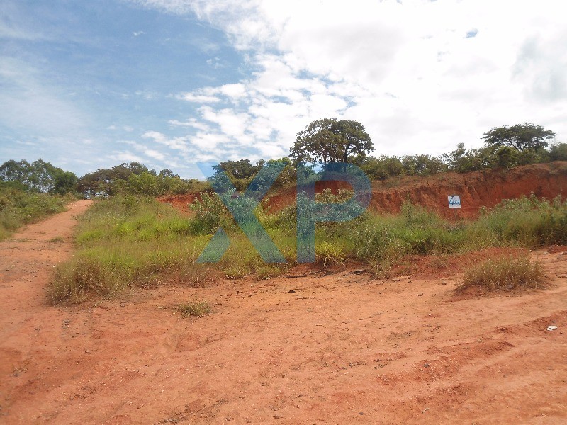 Lote à venda no FLORESTA: Foto 04