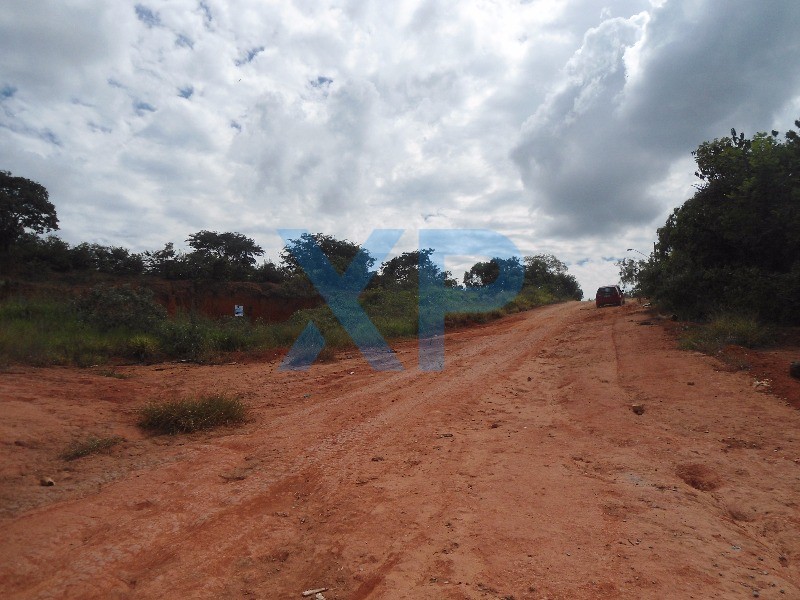 Lote à venda no FLORESTA: Foto 05