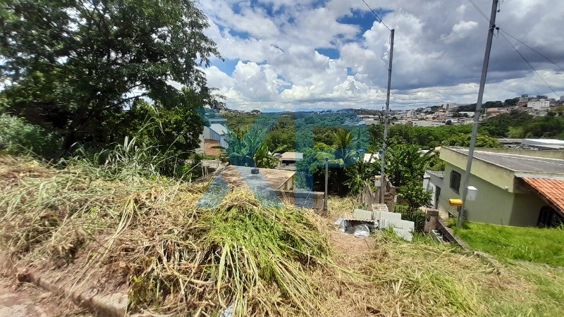 Lote à venda no DAS OLIVEIRAS: Foto 05