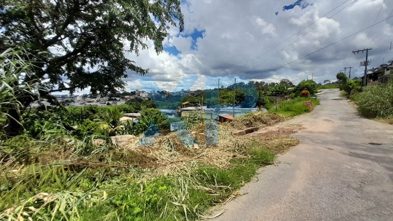 Lote à venda no DAS OLIVEIRAS: Foto 06