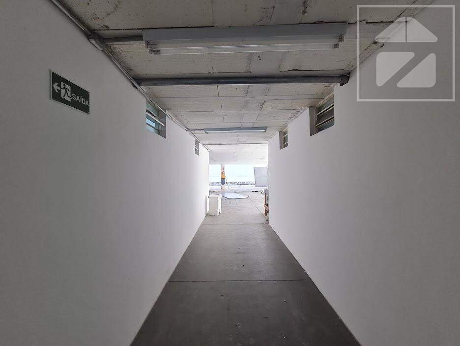 Cambuí Campinas SP: 