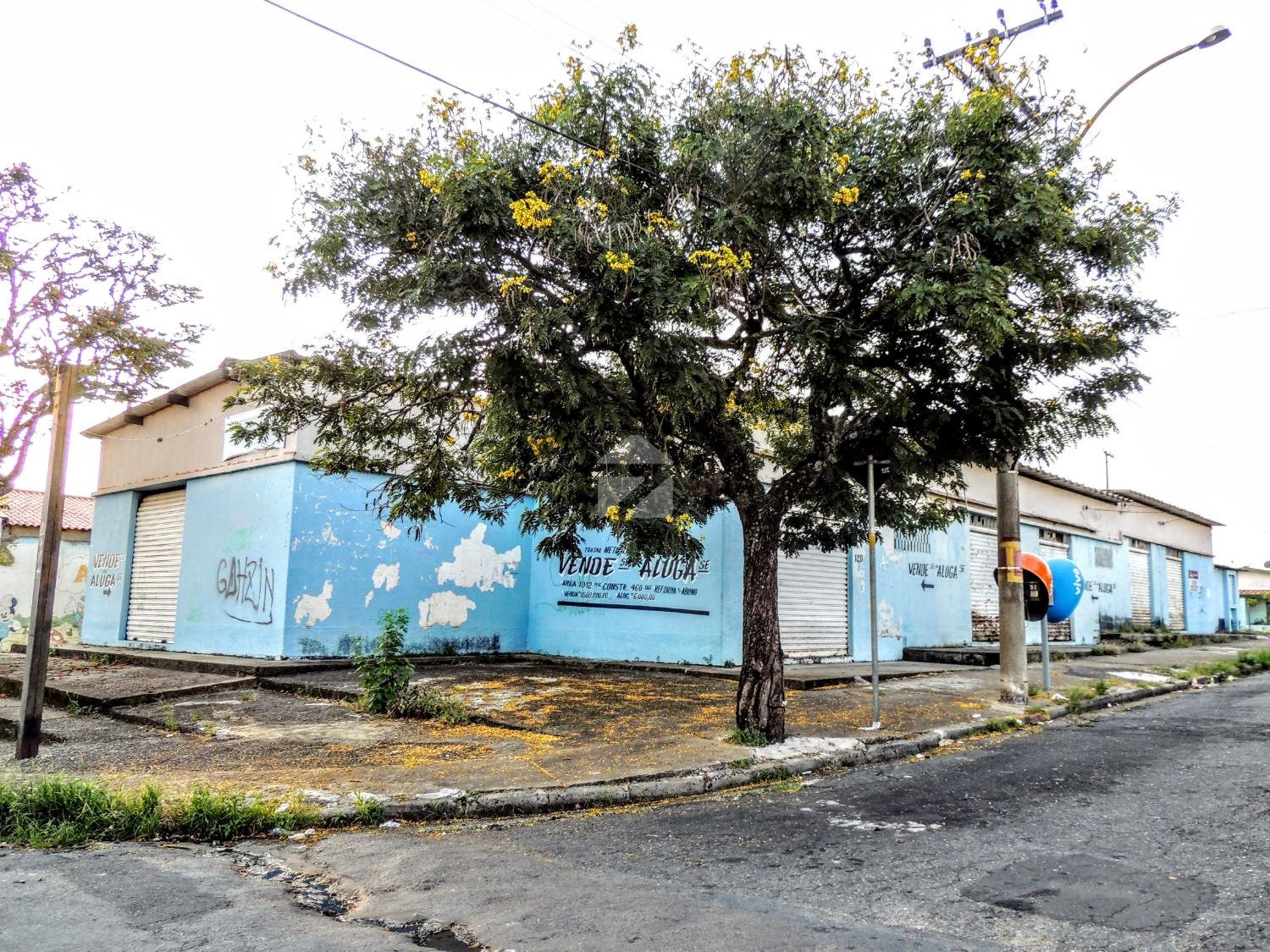 Salão em Jardim Amazonas, Campinas - SP | Zelo Imóveis: 