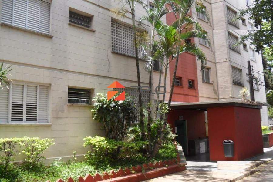 Vila Mimosa Campinas SP: 