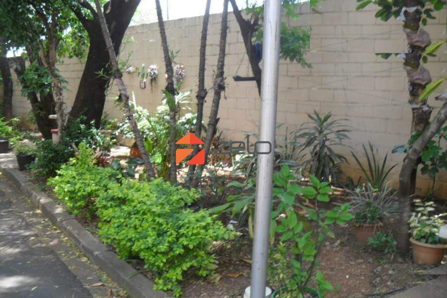 Vila Mimosa Campinas SP: 