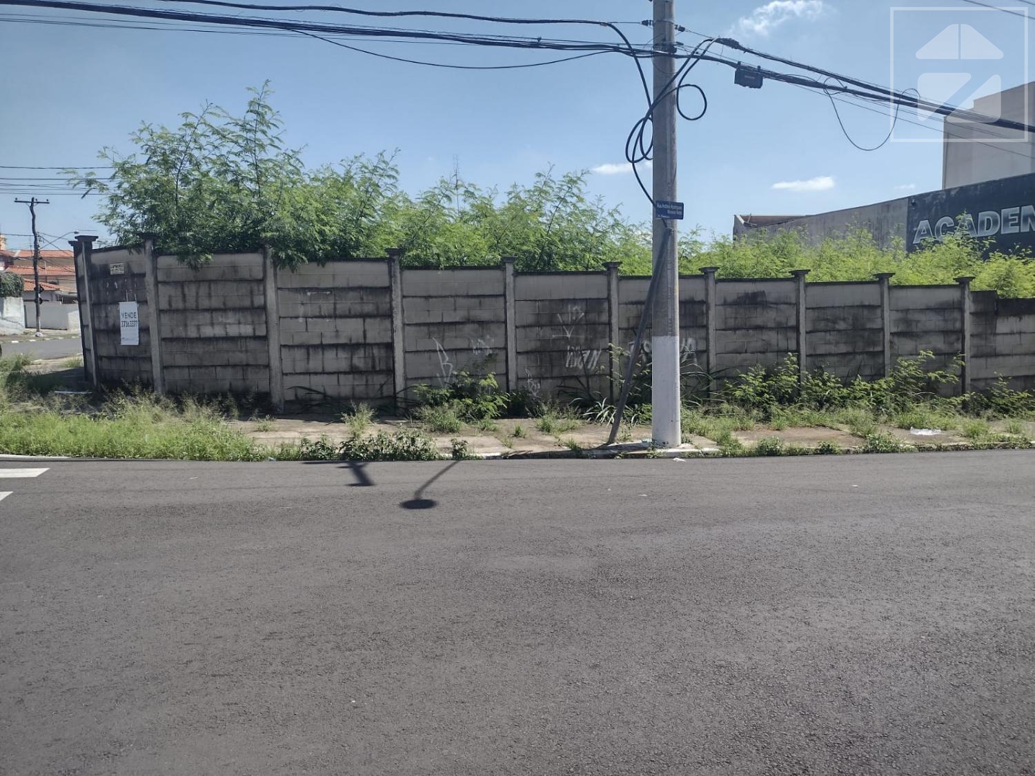 Jardim Pauliceia Campinas SP: 