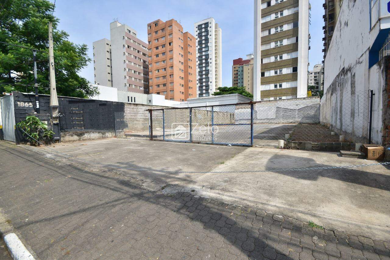 Terreno em Cambuí, Campinas - SP | Zelo Imóveis: 