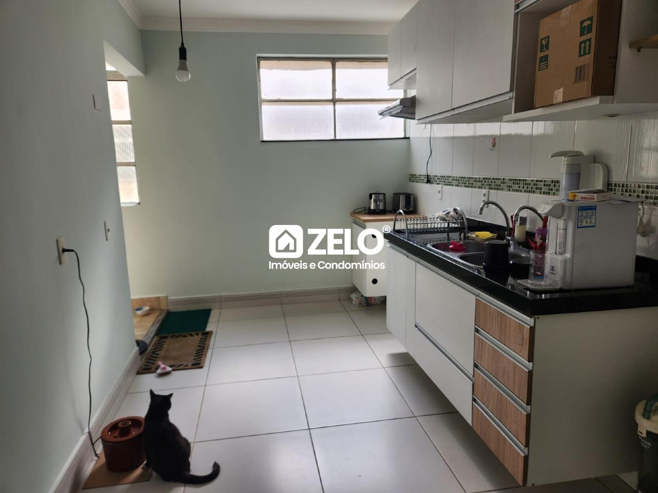 Cambuí Campinas SP: 