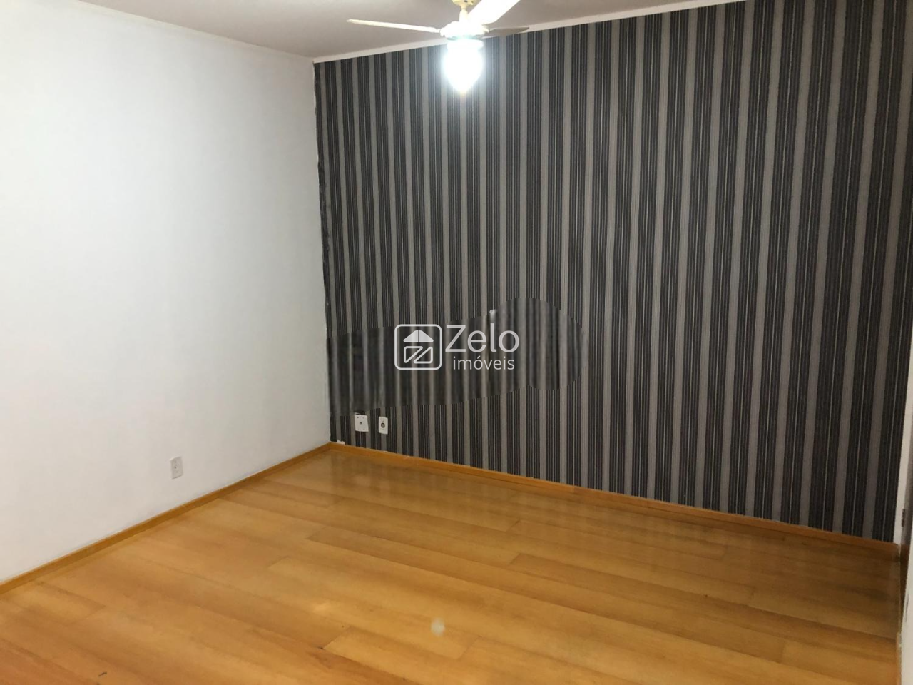 Apartamento em Cambuí, Campinas - SP | Zelo Imóveis: Apartamento para alugar, Cambuí - Campinas/SP