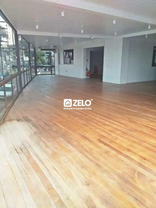 Cambuí Campinas SP: 