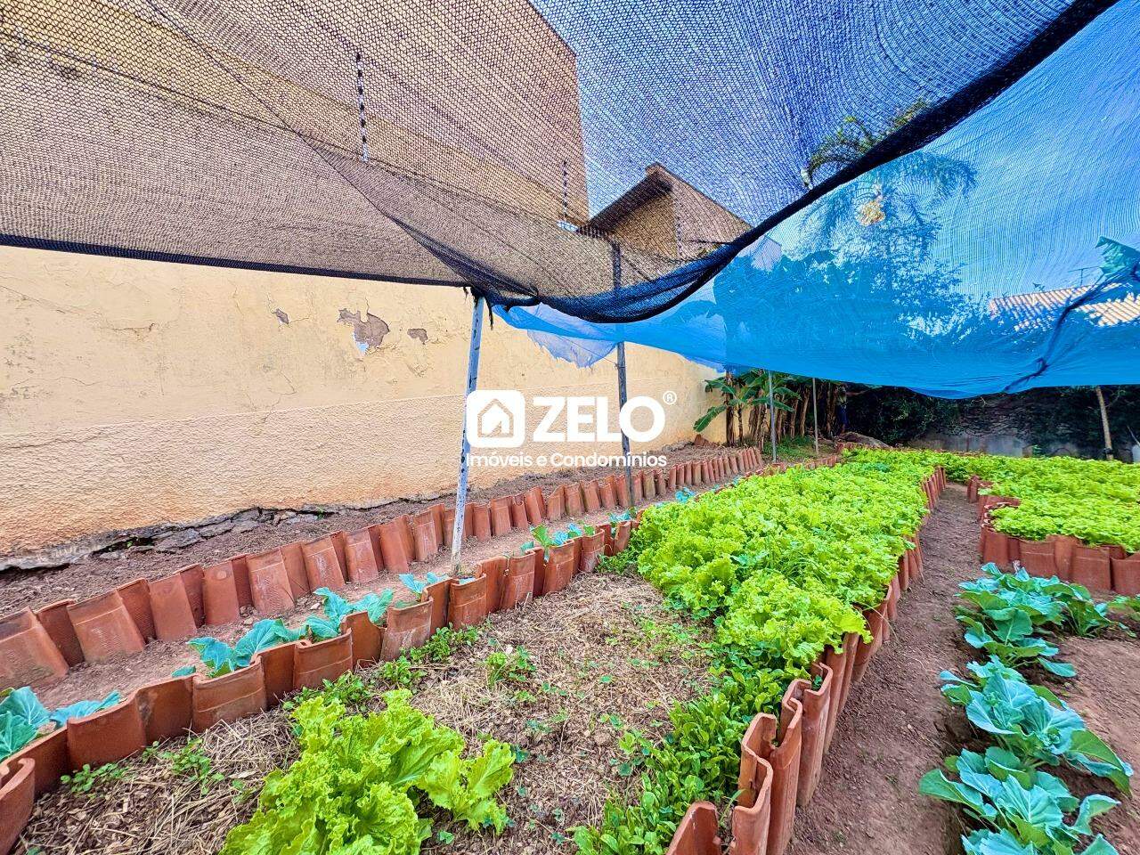 Terreno em Jardim Paraiso, Campinas - SP | Zelo Imóveis: 
