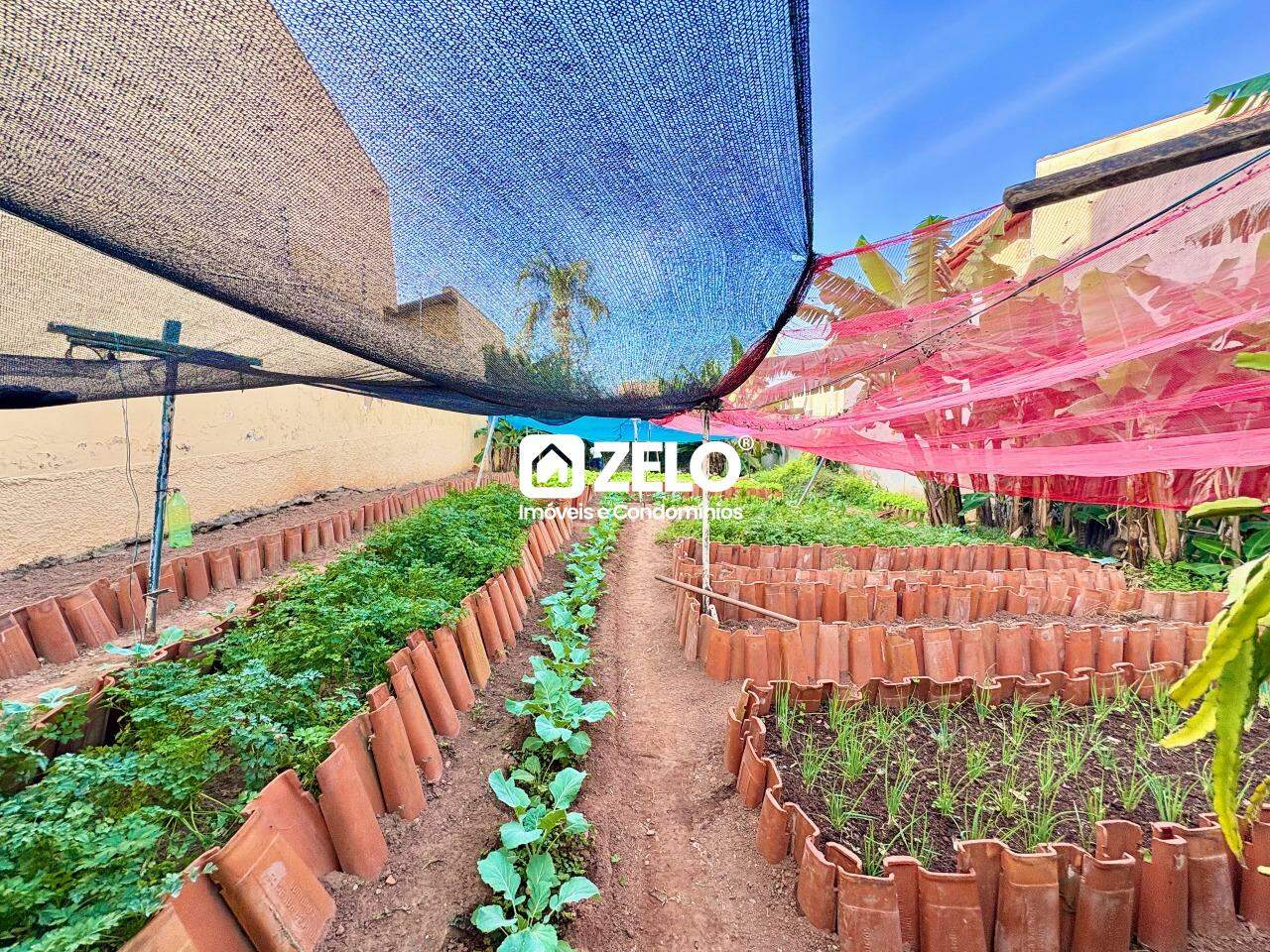 Terreno em Jardim Paraiso, Campinas - SP | Zelo Imóveis: 